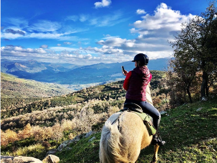 Taste of Sicily 6 Days 